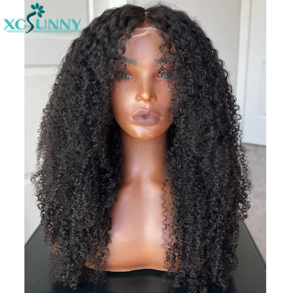 Kinky Curly Full Lace Wig Transparent Lace frontal Wigs Human Hair Curly 13x6 Lace Front Wig Pre Plucked Brazilian xcsunny