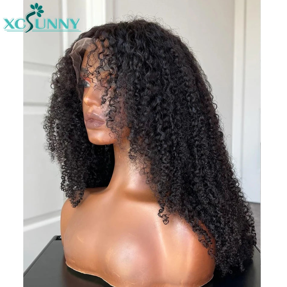 Kinky Curly Full Lace Wig Transparent Lace frontal Wigs Human Hair Curly 13x6 Lace Front Wig Pre Plucked Brazilian xcsunny