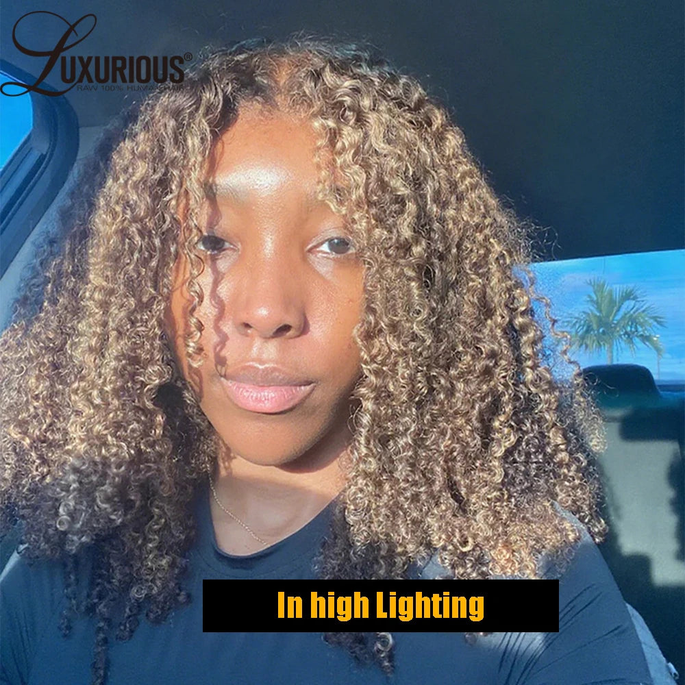 Highlight Ombre Honey Blonde Human Hair Wig With 4c Edges 13x4 Bouncy Curly Lace Front Wig Human Hair Afro Curly Wig 250 Density