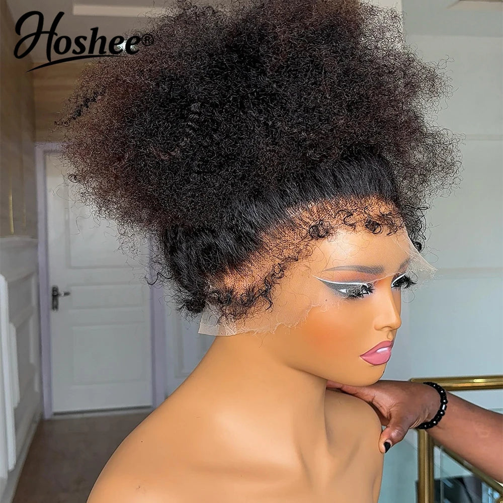Mongolian Afro Curly Glueless 5x5 Lace Closure Human Hair Wig 360 Full Lace Wig With 4c Edges Higher Density Remy Human Hair 250