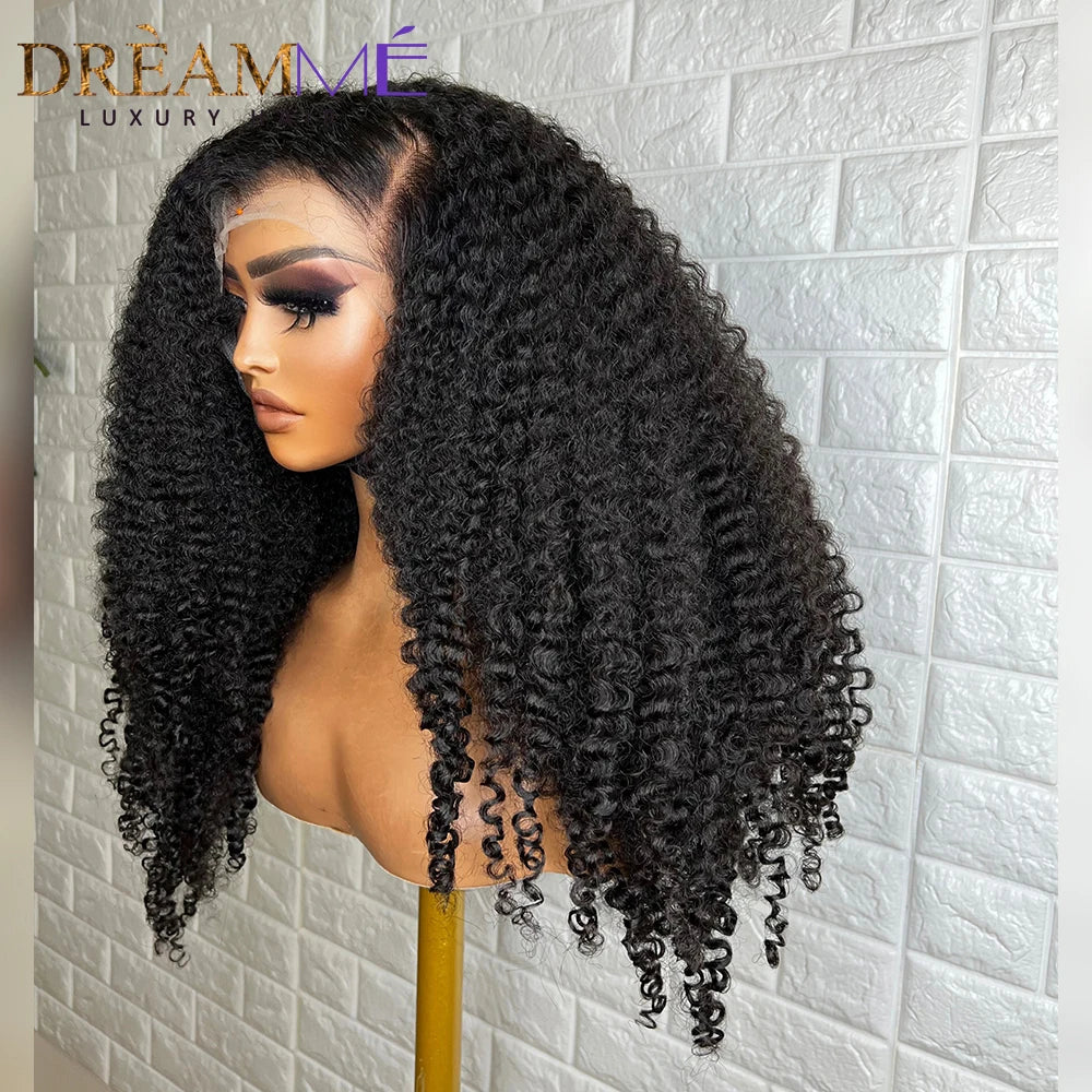 5*4.5 Silk Base 13X4 Lace Human Hair Wigs With Baby Hair Pre Plucked Afro Kinky Curly Brazilian Remy Hair Lace Closure Wig